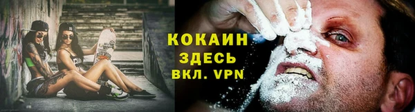 гидра Бронницы