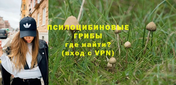 ALPHA PVP Бородино