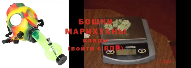 гидра Бронницы