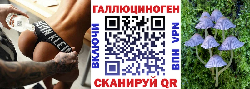 Псилоцибиновые грибы прущие грибы Бородино